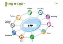 중소기업의 ERP 구축사례와 시사점-3