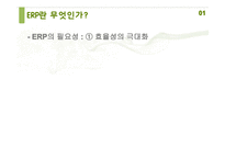 중소기업의 ERP 구축사례와 시사점-6