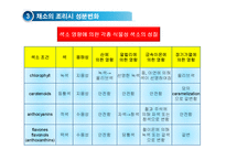 채소 및 과일류(Vegetable & Fruit)의 조리-17