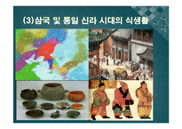 한국의 식생활에 끼친 요인들과 시대적 변천과정ppt-13