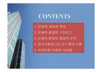 문화적 환경의 분석 - 클럭크혼과 스트로드벡의 모형-2