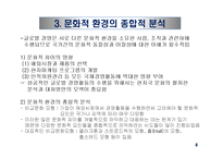 문화적 환경의 분석 - 클럭크혼과 스트로드벡의 모형-7