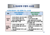 문화적 환경의 분석 - 클럭크혼과 스트로드벡의 모형-16