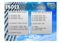 글로벌화의 개념과 글로벌 경영의 유형-2