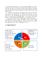 네슬레 마케팅전략분석과 네슬레 브랜드분석및 네슬레 향후 경영전략제안-12