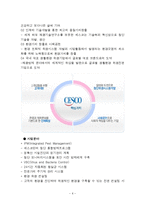 세스코 CESCO 브랜드분석과 세스코 마케팅전략 분석및 세스코 경영전략과 향후나아가야할 방향,느낀점-6