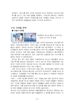 세스코 CESCO 브랜드분석과 세스코 마케팅전략 분석및 세스코 경영전략과 향후나아가야할 방향,느낀점-18