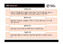 블랙스미스 브랜드분석과 블랙스미스 마케팅전략분석과 블랙스미스 향후전략제안-10