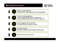 블랙스미스 브랜드분석과 블랙스미스 마케팅전략분석과 블랙스미스 향후전략제안-12