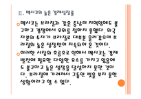 [멕시코경제]멕시코와 브라질 시장의 경제전망 비교분석 PPT자료-9