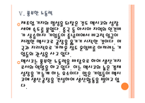 [멕시코경제]멕시코와 브라질 시장의 경제전망 비교분석 PPT자료-17