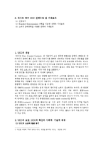 UCC를 통한 마케팅사례(피자헛,하이네켄)분석및 하이트맥주의 UCC마케팅 전략제안-2