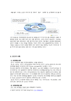 UCC를 통한 마케팅사례(피자헛,하이네켄)분석및 하이트맥주의 UCC마케팅 전략제안-5