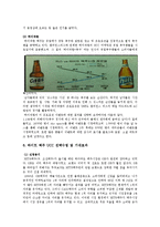 UCC를 통한 마케팅사례(피자헛,하이네켄)분석및 하이트맥주의 UCC마케팅 전략제안-10