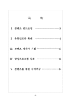 [KT기업분석]kt의 경영전략-콘텐츠사업 강화 보고서-2