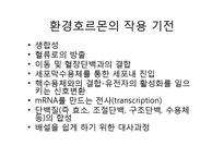 환경호르몬(내분비계장애물질)-환경호르몬 성질, 환경호르몬 종류, 환경호르몬 영향,환경호르몬 작용,환경호르몬 피해사례,환경호르몬에 대한 대처 방안-8