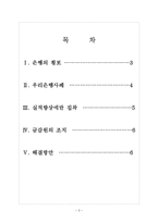 [방카슈랑스]금융권의 방카슈랑스 시행에 대한 문제와 해결방안 보고서-2