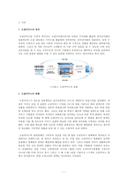 소셜커머스의 발달 및 전망과 한계점 고찰-3