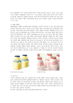 빙그레 기업분석-19