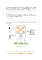 삼성생명 e비즈니스 사례-13