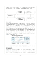 도요타 리콜사태 분석-6