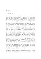 캐슬&해모로의 시장현황과 마케팅 전략-2