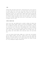 캐슬&해모로의 시장현황과 마케팅 전략-9