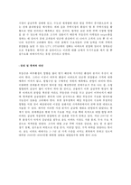 캐슬&해모로의 시장현황과 마케팅 전략-18