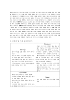 홀리카홀리카 마케팅 전략-5