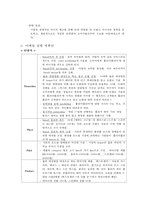 홀리카홀리카 마케팅 전략-7