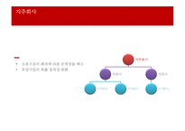 IFRS과 지주회사-8