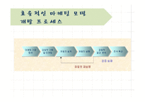 삼성생명 e비즈니스 사례-12