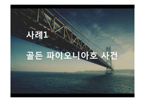 골든 파이오니아호 해상보험 사례-3