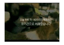 동물보호 관리시스템-3