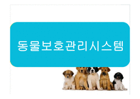 동물보호 관리시스템-4