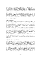 온라인 미디어와 한류-12