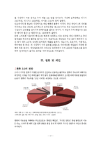 온라인 미디어와 한류-17