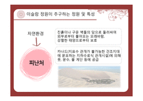 이슬람 정원의 특징 조사-6
