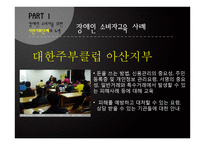 장애인 소비복지를 위한 시민사회단체와 정부의 노력-6