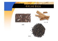 향신료의 역사 레포트-5