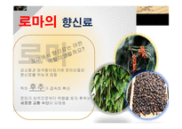 향신료의 역사 레포트-9