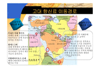향신료의 역사 레포트-13