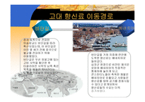 향신료의 역사 레포트-14
