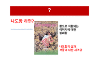 나도향 생애와 작품 분석-3