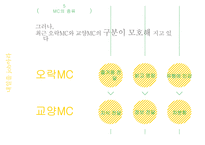 오락MC와 교양MC 방송 화법 비교-6