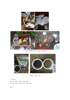 지렁이의 생태학적 기능-12