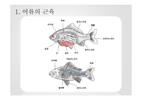 수조육류, 어패류 식품 조리원리-8