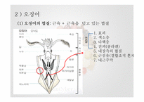 수조육류, 어패류 식품 조리원리-10
