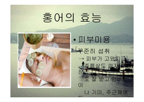 홍허 숙성과 미생물, 생성물에 대하여-9