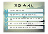 홍허 숙성과 미생물, 생성물에 대하여-12